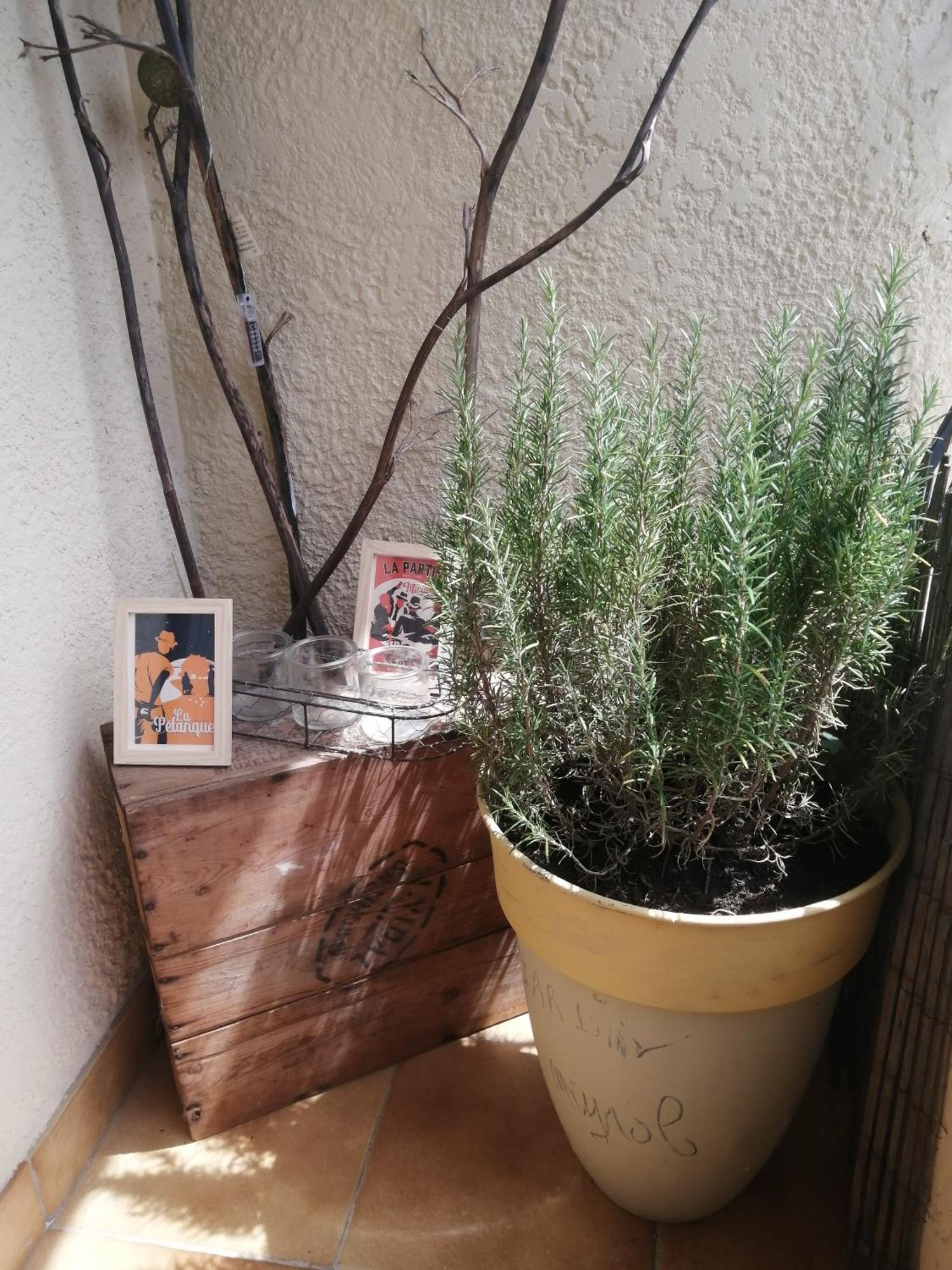Dans Les Alpilles Les Jardins De Meyrol Homestay *